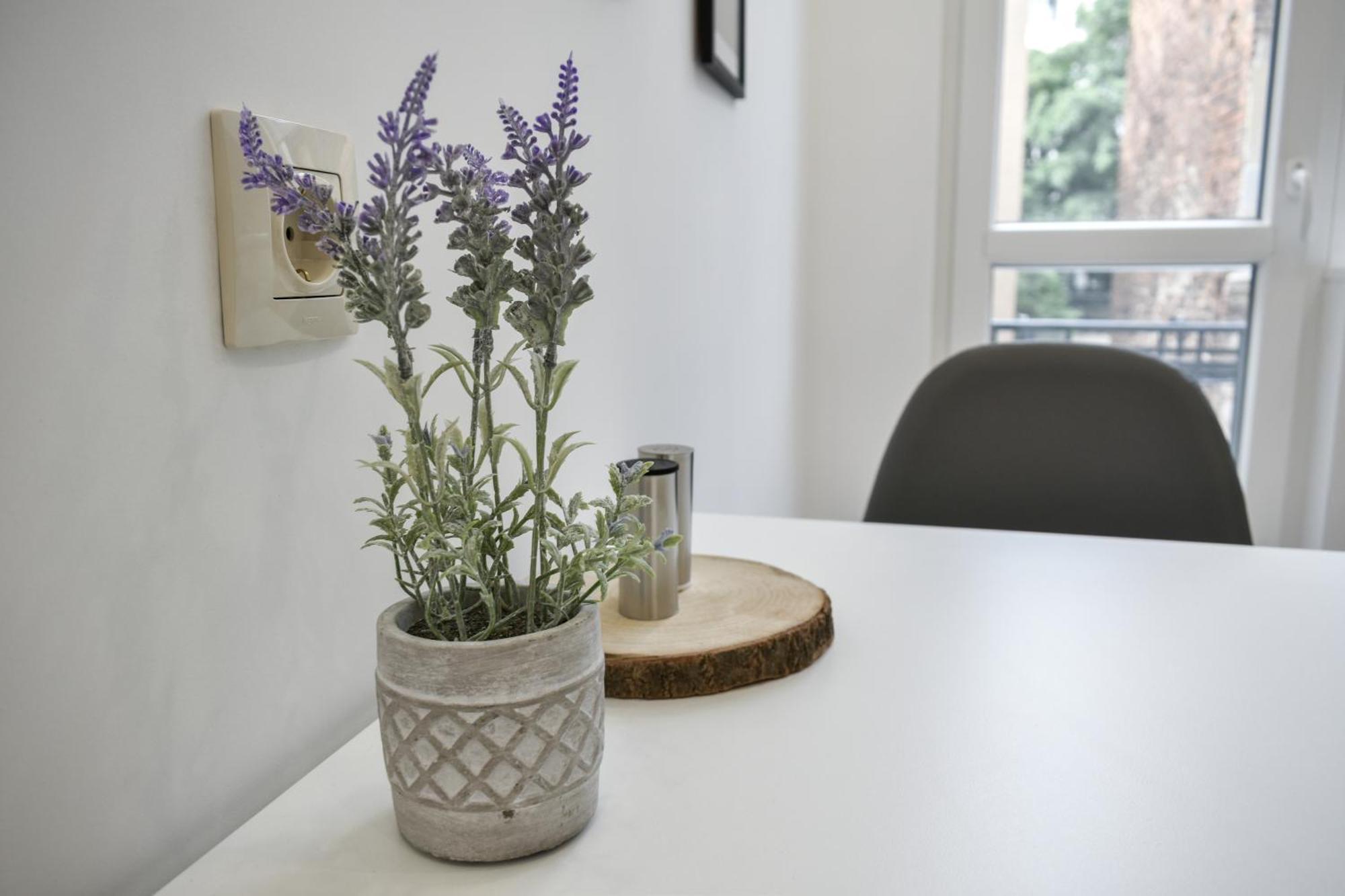 Duplex Condo Prime Location 2Bth 2 Studios Sofia Bagian luar foto